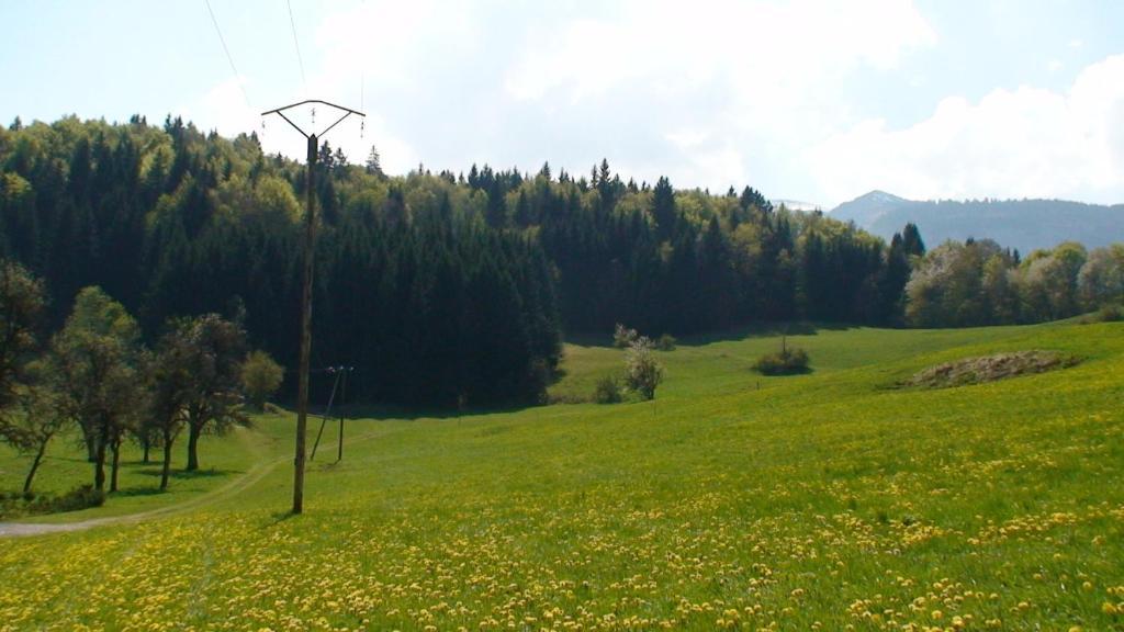 Le Chalet D'Ulysse Arâches Εξωτερικό φωτογραφία